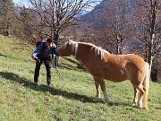 Ai faggi secolari del Menna dal Passo dell’orso ad anello da Zorzone – 27ott25   -  FOTOGALLERY
